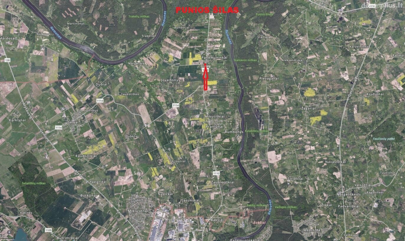 Parduodama sodyba Alytaus rajono sav., Panemuninkuose, Naujakurių g.