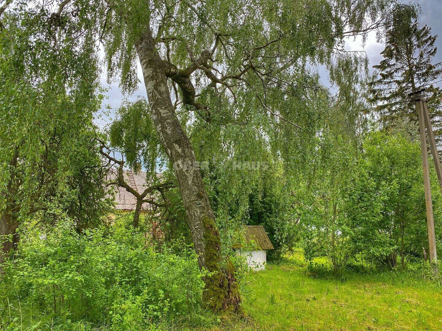 Parduodamas gyvenamasis namas Radviliškio rajono sav., Tyruliuose