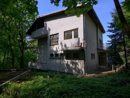 House Kaune, Žaliakalnyje
