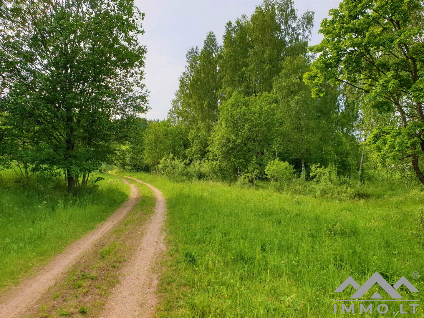 Parduodama sodyba Plungės rajono sav., Jazdauskiškiuose, Sorų g.
