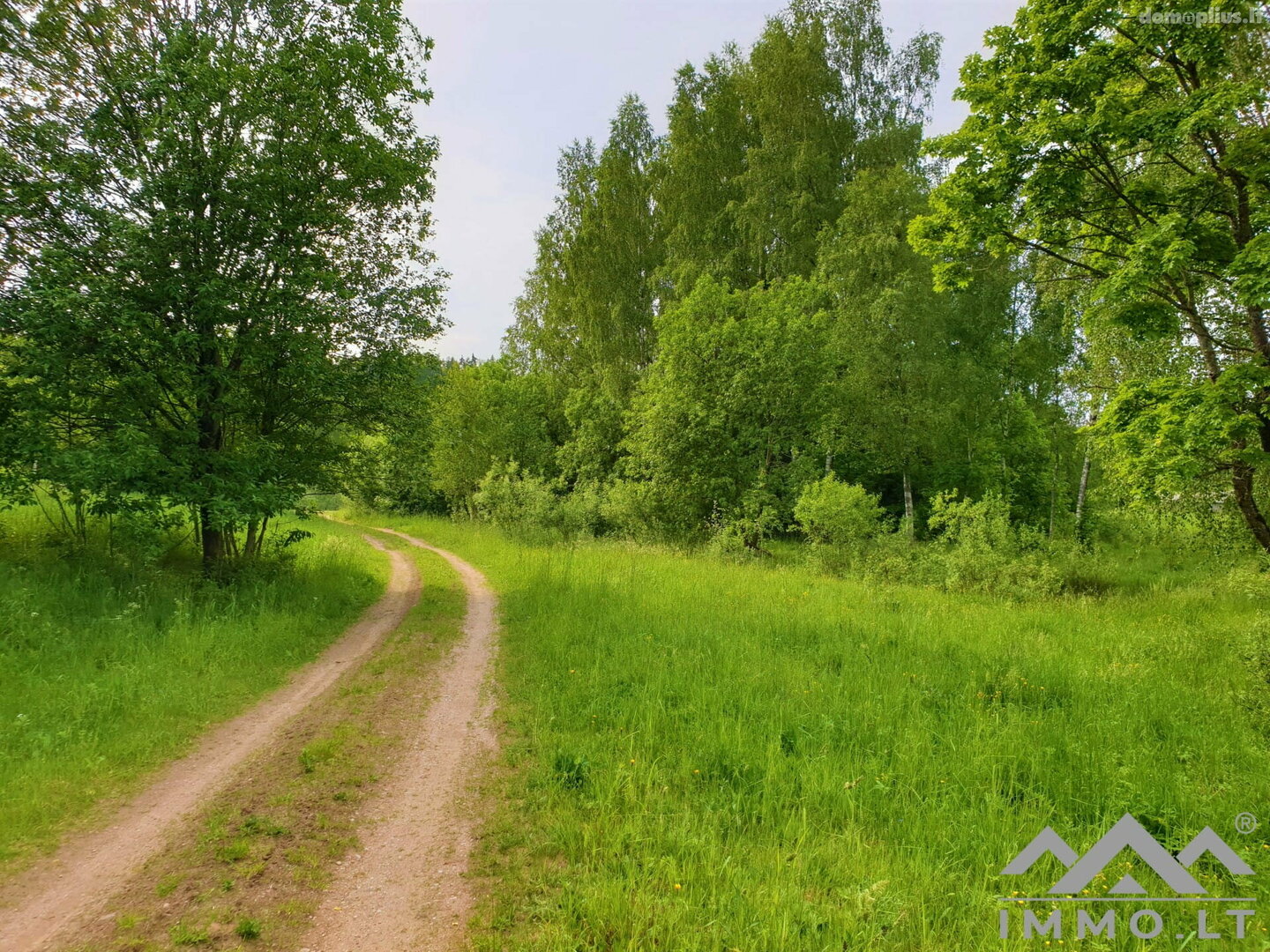 Parduodama sodyba Plungės rajono sav., Jazdauskiškiuose, Sorų g.