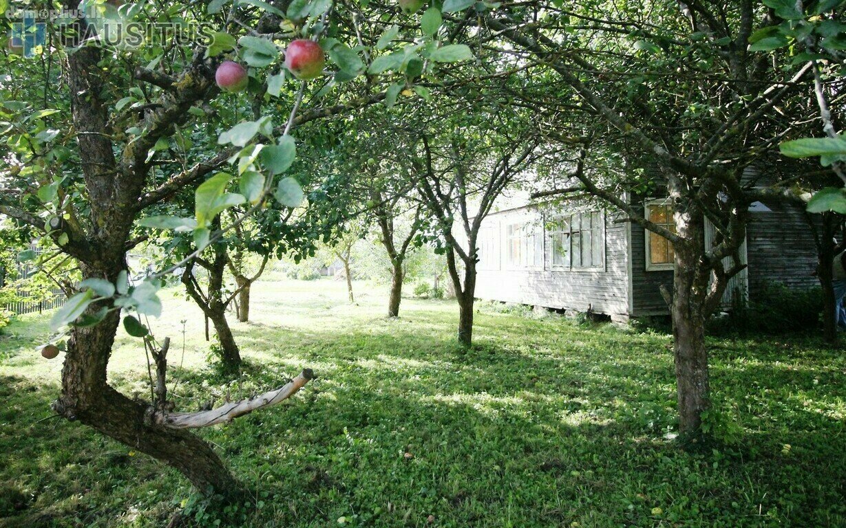 Parduodama sodyba Panevėžio rajono sav., Janališkiuose