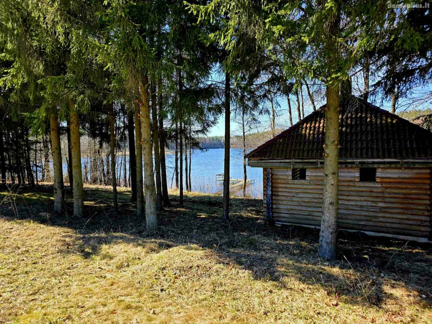 Homestead for sale Ignalinos rajono sav., Simoniškis I