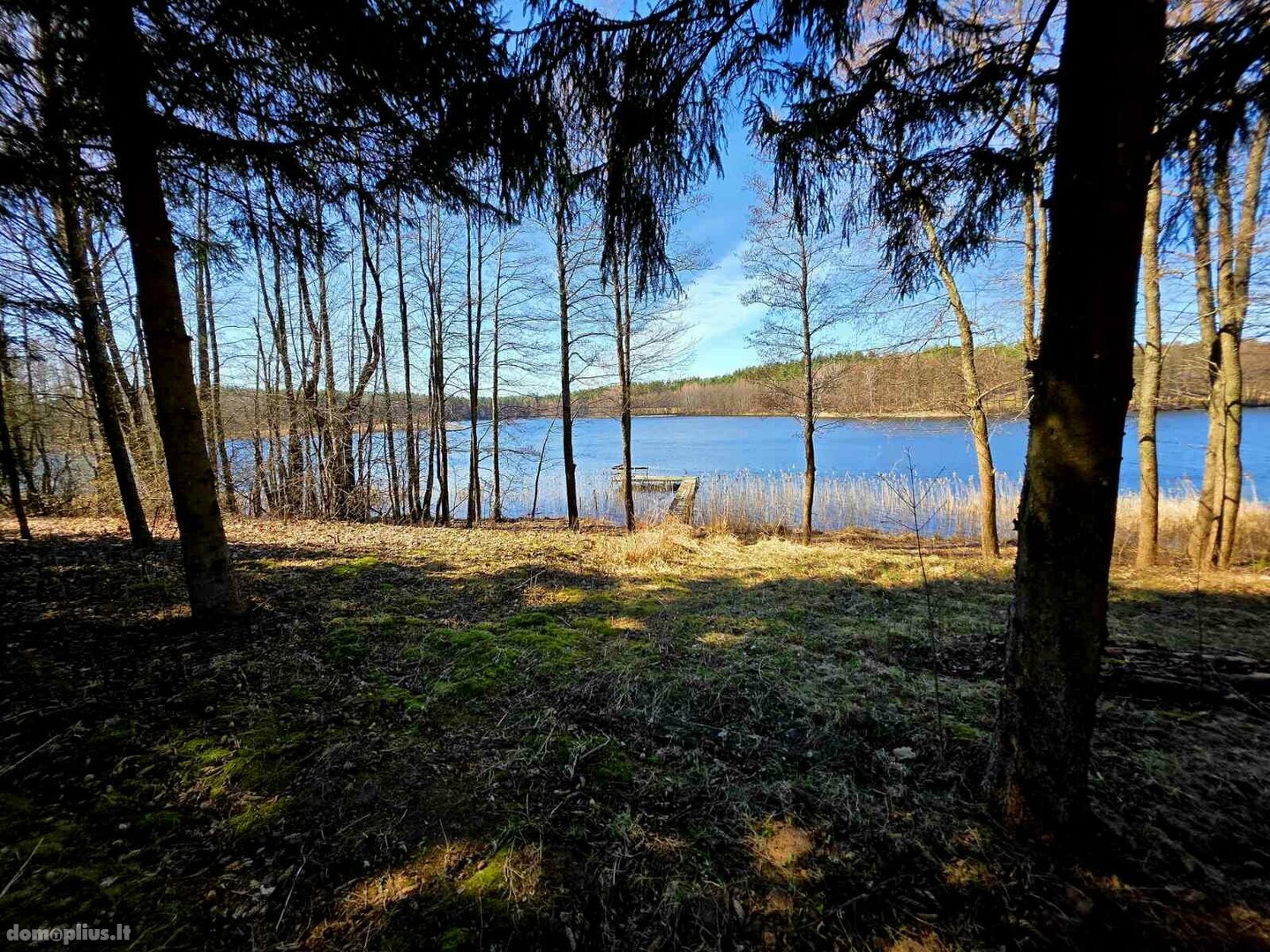 Homestead for sale Ignalinos rajono sav., Simoniškis I
