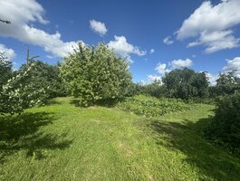 Parduodamas gyvenamasis namas Šiaulių rajono sav., Kuršėnuose, Šiltnamio g.