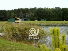 Parduodama sodyba Kazlų Rūdos sav., Būdelėje