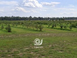 Parduodama sodyba Kauno rajono sav., Pakalniškiuose