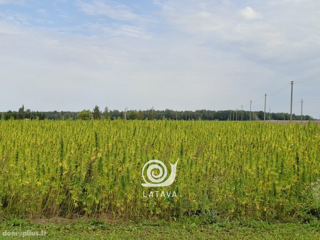 Parduodama sodyba Kauno rajono sav., Pakalniškiuose