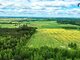 Parduodamas gyvenamasis namas Kaišiadorių rajono sav., Kaugonyse (12 nuotrauka)