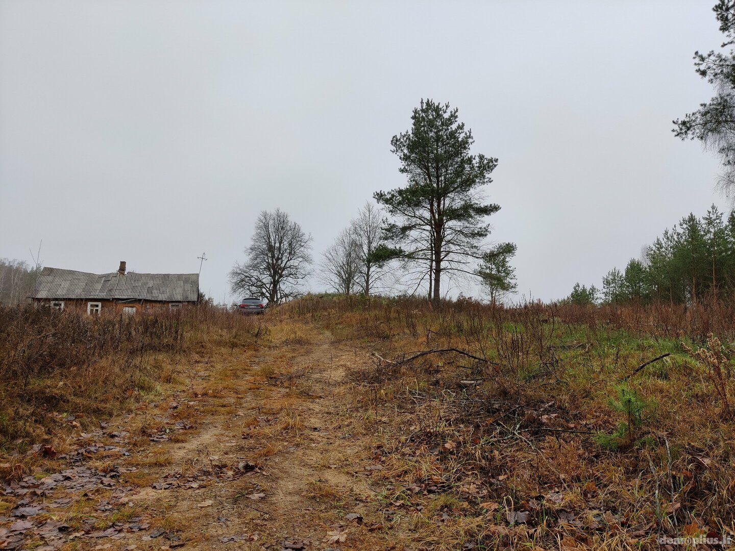 Parduodama sodyba Kaišiadorių rajono sav., Basonys II