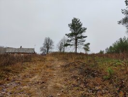 Parduodama sodyba Kaišiadorių rajono sav., Basonys II