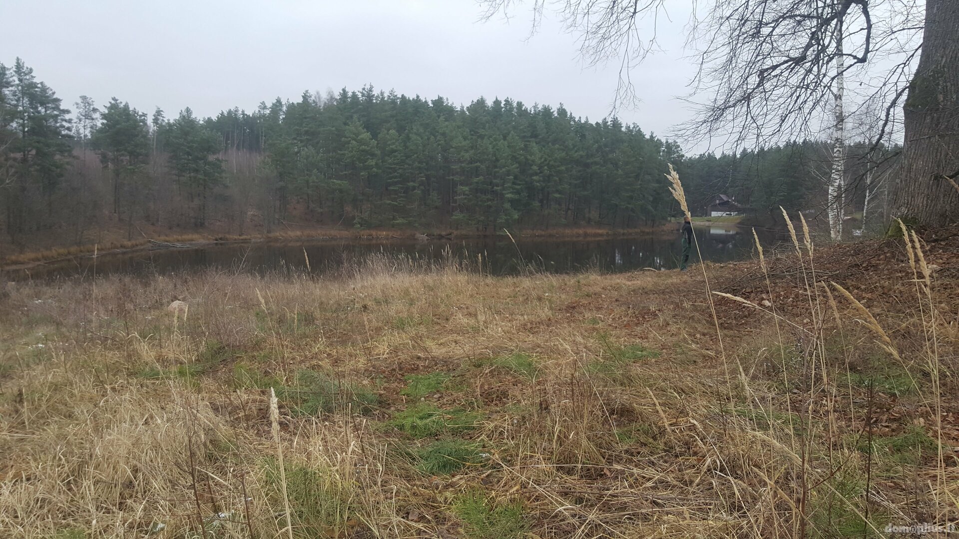 Parduodama sodyba Kaišiadorių rajono sav., Basonys II