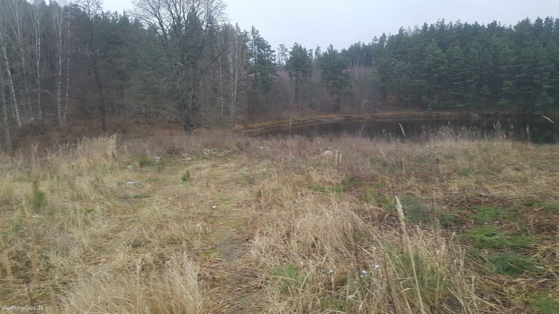 Parduodama sodyba Kaišiadorių rajono sav., Basonys II