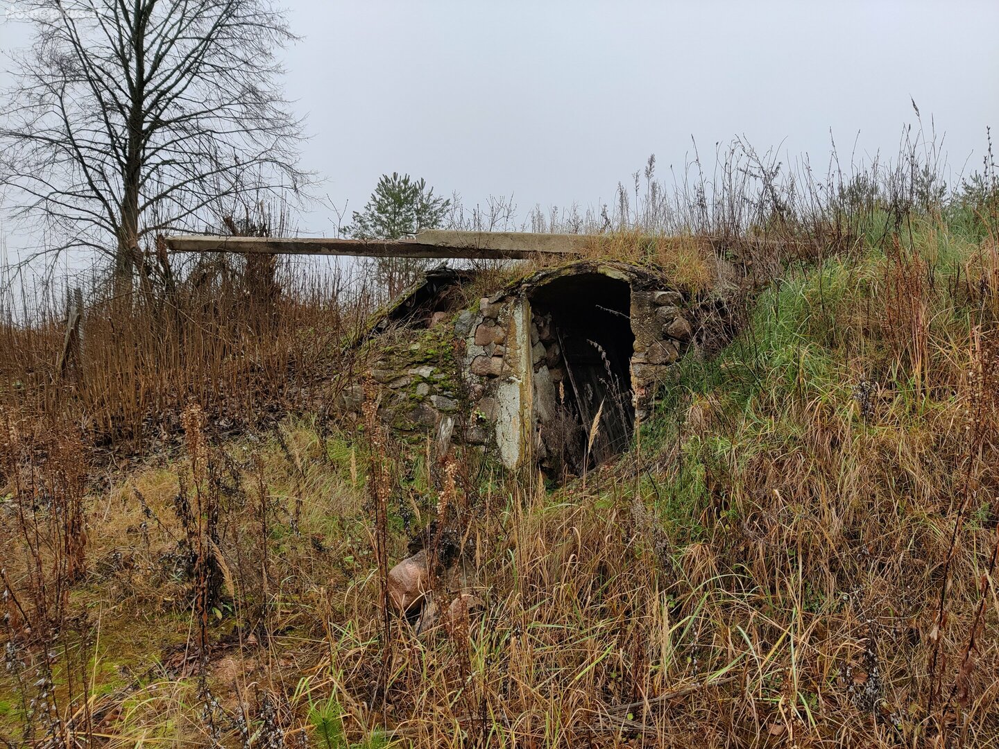 Parduodama sodyba Kaišiadorių rajono sav., Basonys II