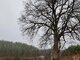 Parduodama sodyba Kaišiadorių rajono sav., Basonys II (9 nuotrauka)