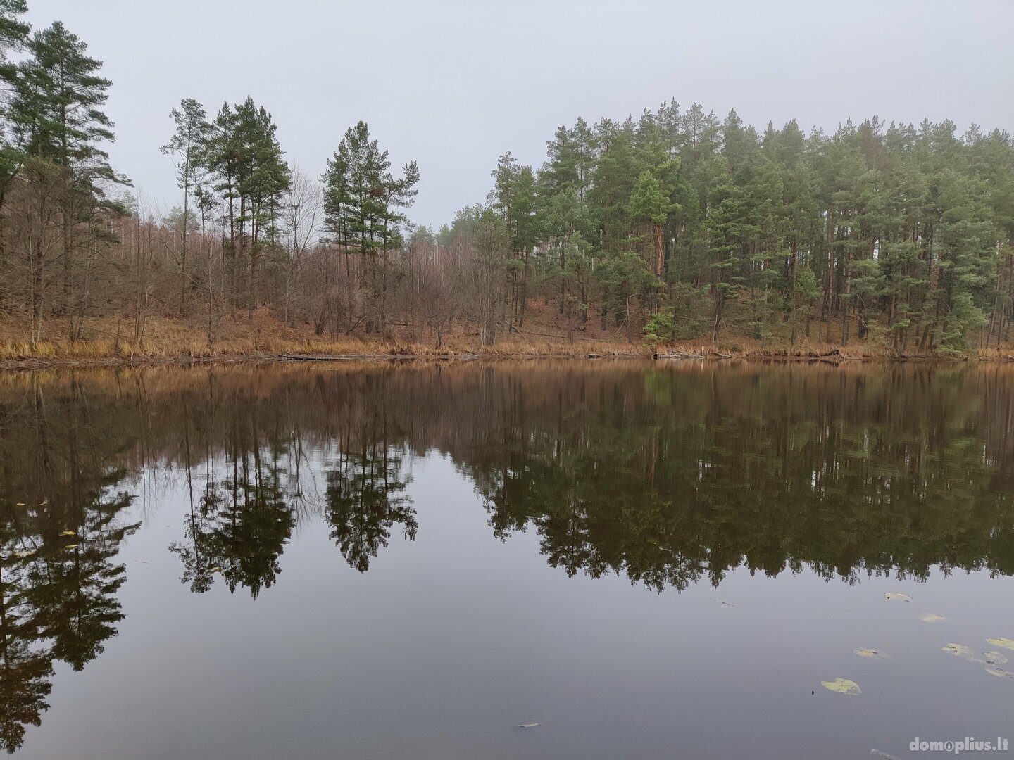Parduodama sodyba Kaišiadorių rajono sav., Basonys II
