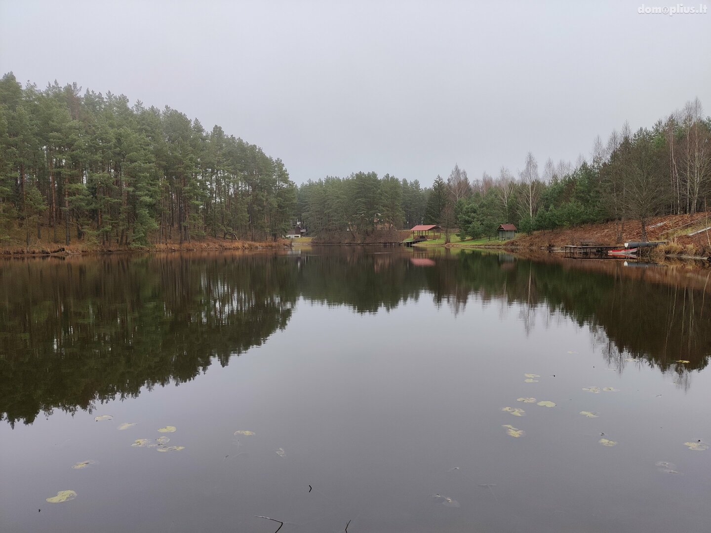 Parduodama sodyba Kaišiadorių rajono sav., Basonys II