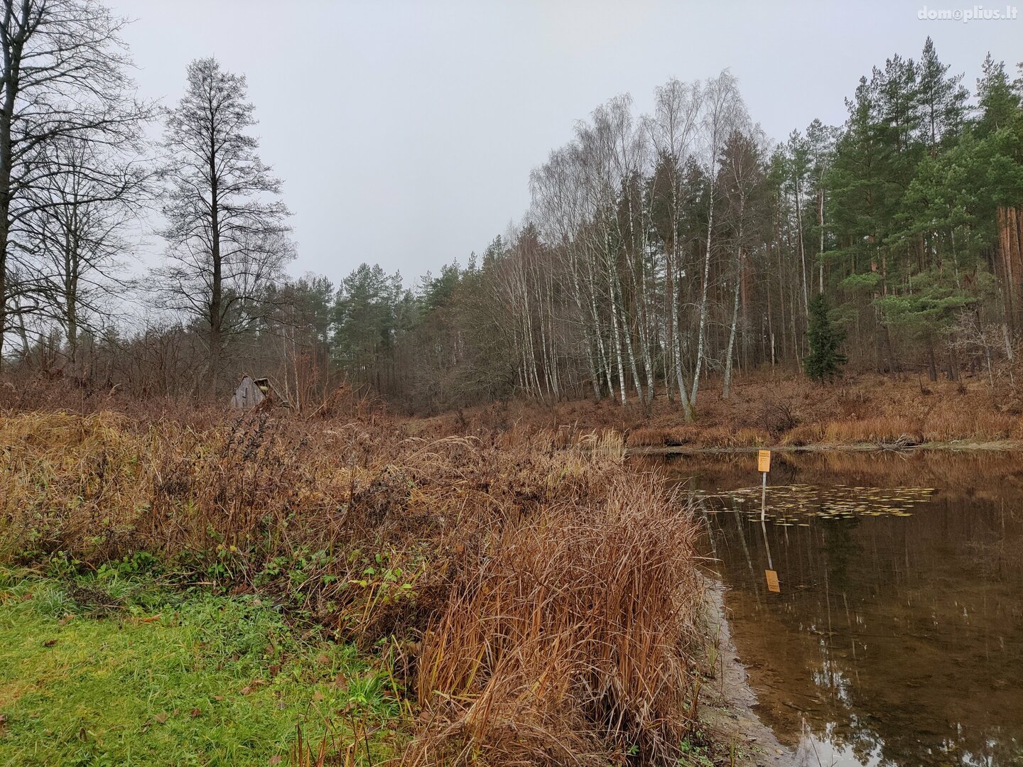 Parduodama sodyba Kaišiadorių rajono sav., Basonys II