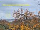 House for sale Lazdijų rajono sav., Galstuose, Galsto g. (3 picture)