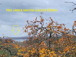 Parduodamas gyvenamasis namas Lazdijų rajono sav., Galstuose, Galsto g.