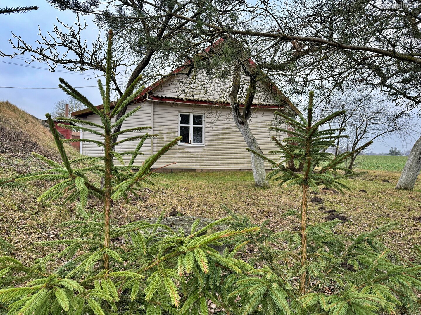 Parduodama sodyba Panevėžio rajono sav., Miežiškiuose, Dvaro g.
