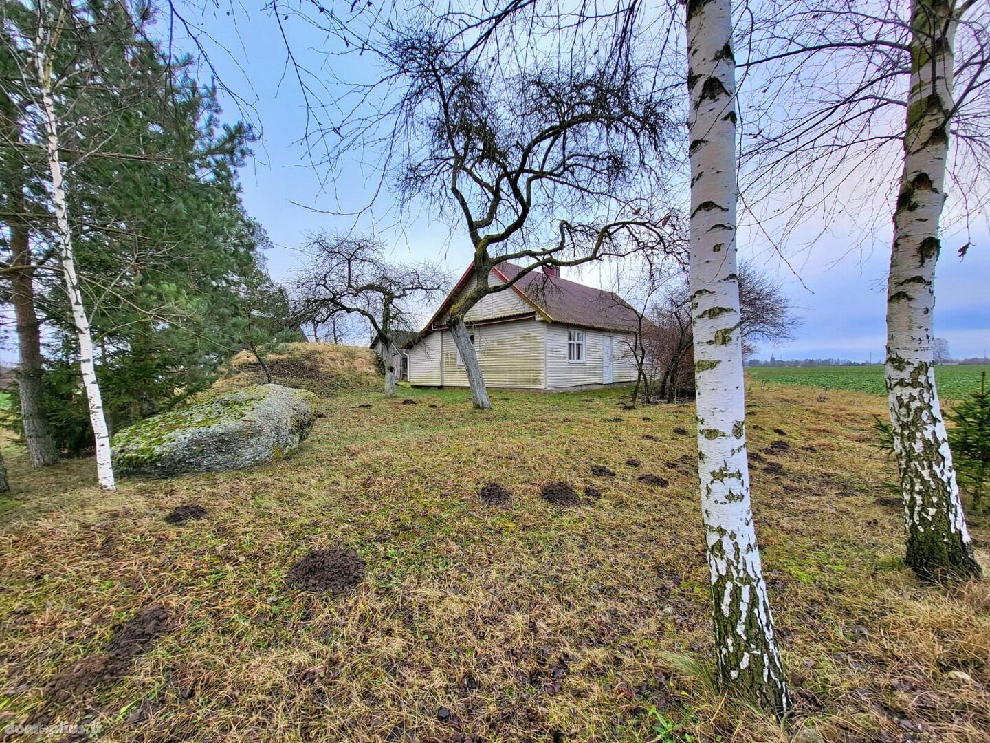 Parduodama sodyba Panevėžio rajono sav., Miežiškiuose, Dvaro g.