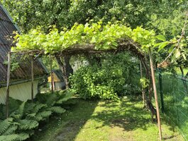 Summer house for sale Klaipėdos rajono sav., Dercekliuose