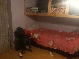 Продаётся дача Klaipėdos rajono sav., Dercekliuose