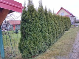 Parduodamas sodo namas Klaipėdos rajono sav., Gargžduose, Žemasis tak.
