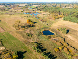 Homestead for sale Varėnos rajono sav., Vilkiautinyje, Mokyklos g.