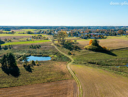 Homestead Varėnos rajono sav., Vilkiautinyje, Mokyklos g.