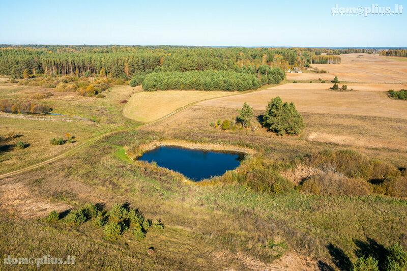 Homestead for sale Varėnos rajono sav., Vilkiautinyje, Mokyklos g.