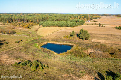 Homestead for sale Varėnos rajono sav., Vilkiautinyje, Mokyklos g.