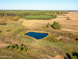 Homestead for sale Varėnos rajono sav., Vilkiautinyje, Mokyklos g.