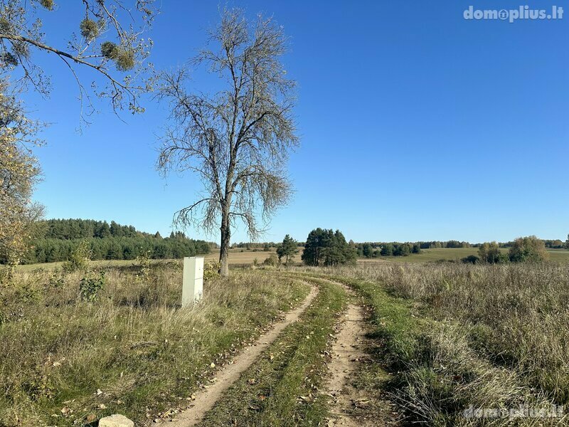 Homestead for sale Varėnos rajono sav., Vilkiautinyje, Mokyklos g.