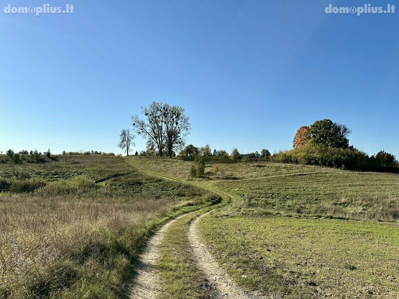 Homestead for sale Varėnos rajono sav., Vilkiautinyje, Mokyklos g.