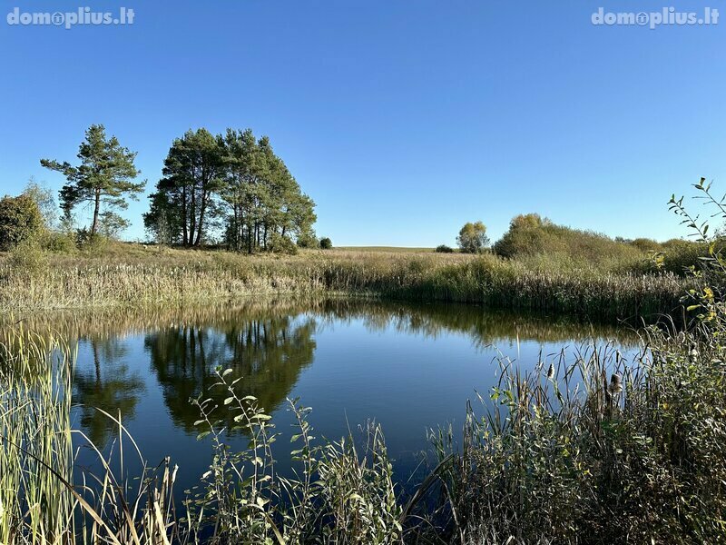 Homestead for sale Varėnos rajono sav., Vilkiautinyje, Mokyklos g.