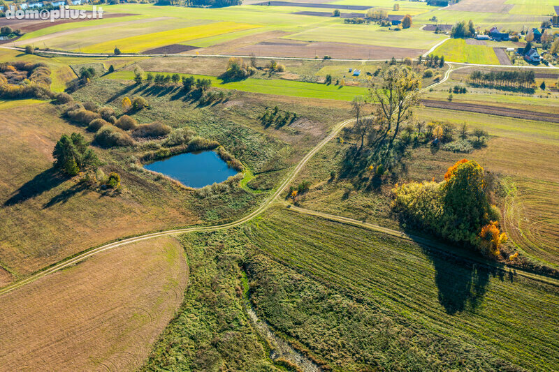 Homestead for sale Varėnos rajono sav., Vilkiautinyje, Mokyklos g.