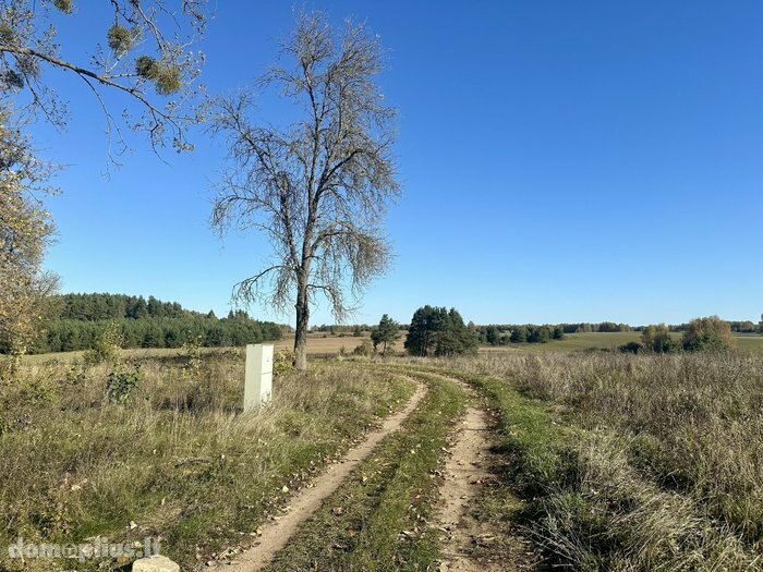 Homestead for sale Varėnos rajono sav., Vilkiautinyje, Mokyklos g.