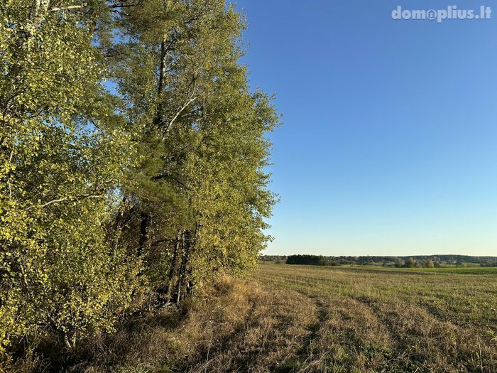 Parduodama sodyba Varėnos rajono sav., Papiškiuose