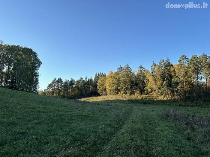 Parduodama sodyba Varėnos rajono sav., Papiškiuose