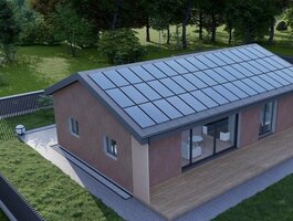 House Kauno rajono sav., Domeikavoje, Žemynos g.