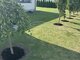 Parduodamas gyvenamasis namas Klaipėdos rajono sav., Trušeliuose (5 nuotrauka)
