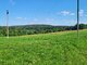 Homestead for sale Ignalinos rajono sav., Pagavaityje (7 picture)
