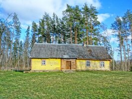 Parduodama sodyba Ignalinos rajono sav., Kaneišiuose