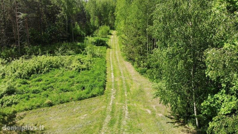 Parduodama sodyba Ignalinos rajono sav., Kaneišiuose