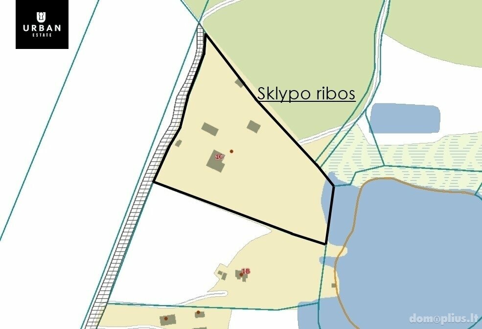 Parduodama sodyba Varėnos rajono sav., Pavardaunyse