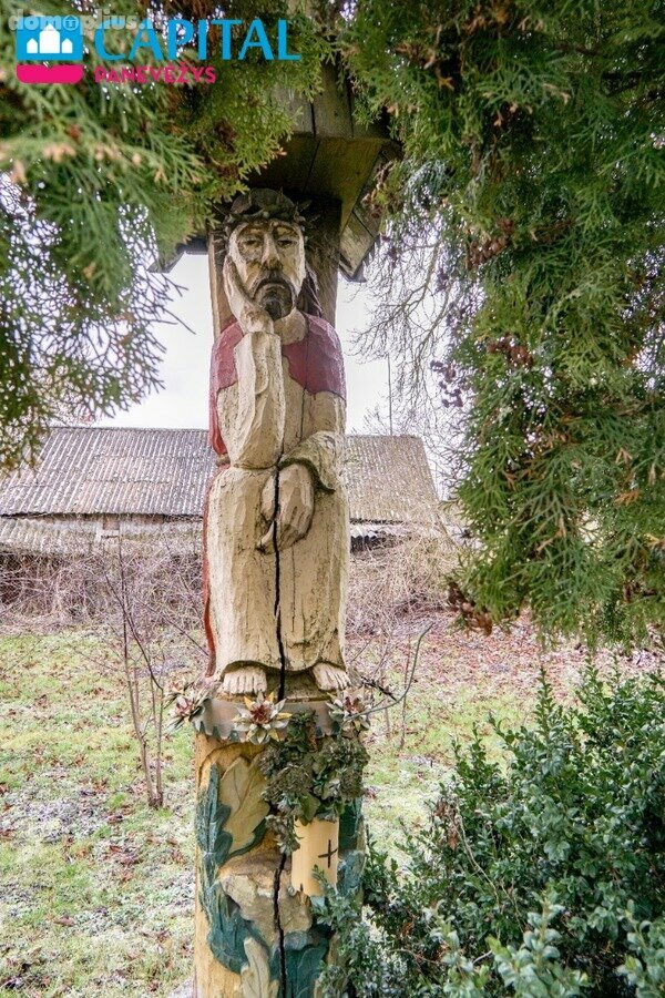Parduodamas gyvenamasis namas Pasvalio rajono sav., Pumpėnuose, Daujėnų g.