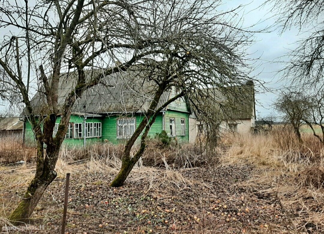 Parduodama sodyba Pasvalio rajono sav., Vildūnuose, Klevų g.