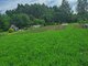 Summer house for sale Klaipėdos rajono sav., Vaiteliuose (6 picture)